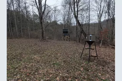 Brown Peavine Road, Alledonia, OH 43902 - Photo 27