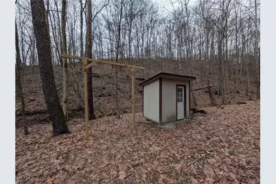 Brown Peavine Road, Alledonia, OH 43902 - Photo 17