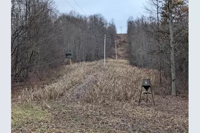 Brown Peavine Road, Alledonia, OH 43902 - Photo 13