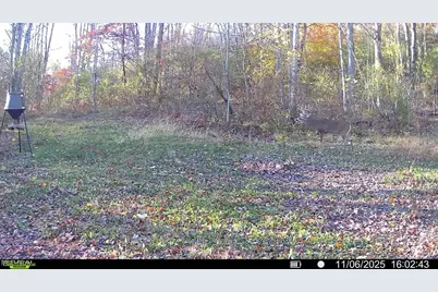 Brown Peavine Road, Alledonia, OH 43902 - Photo 43