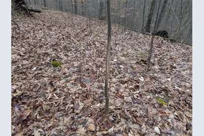 Brown Peavine Road, Alledonia, OH 43902 - Photo 35