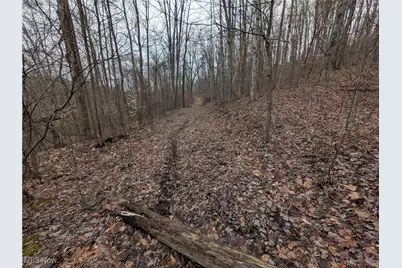 Brown Peavine Road, Alledonia, OH 43902 - Photo 37