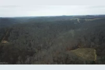 Brown Peavine Road, Alledonia, OH 43902 - Photo 11