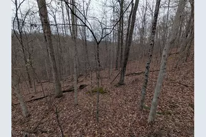 Brown Peavine Road, Alledonia, OH 43902 - Photo 21