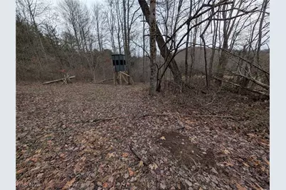 Brown Peavine Road, Alledonia, OH 43902 - Photo 25