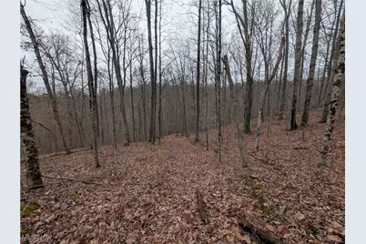 Brown Peavine Road, Alledonia, OH 43902 - Photo 31