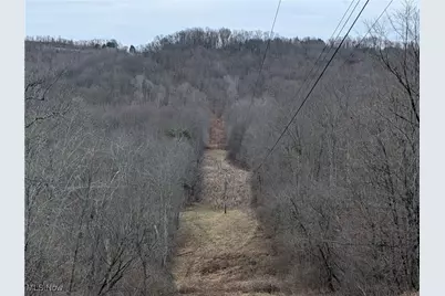 Brown Peavine Road, Alledonia, OH 43902 - Photo 39