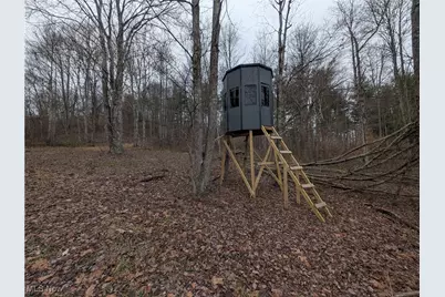 Brown Peavine Road, Alledonia, OH 43902 - Photo 23