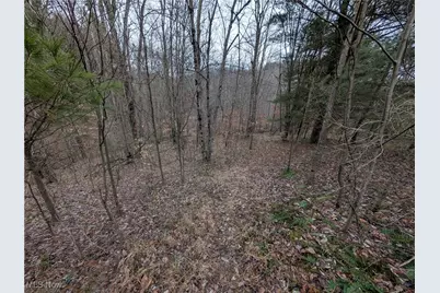 Brown Peavine Road, Alledonia, OH 43902 - Photo 29