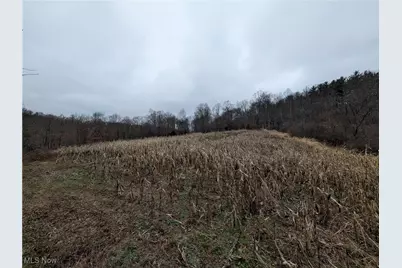 Brown Peavine Road, Alledonia, OH 43902 - Photo 7