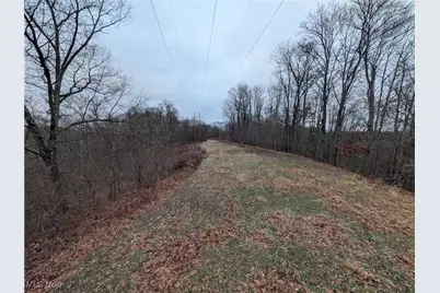 Brown Peavine Road, Alledonia, OH 43902 - Photo 41