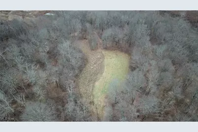 Brown Peavine Road, Alledonia, OH 43902 - Photo 9