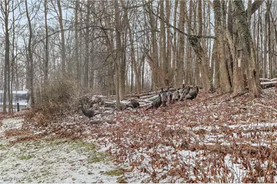 7014 River Styx Road, Medina, OH 44256 - Photo 3
