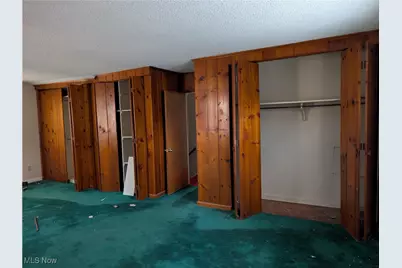 703 Avondale Street, Kent, OH 44240 - Photo 33