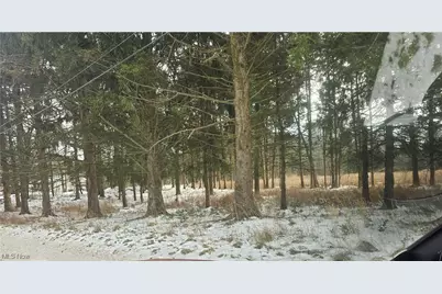 246 Ridgewood Road, Medina, OH 44256 - Photo 3