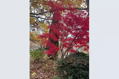 7148 Chatham Road, Medina, OH 44256 - Photo 23