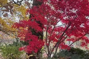 7148 Chatham Rd, Medina, OH 44256 - Photo 23