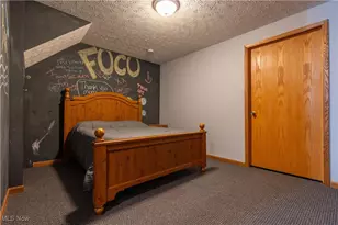 114 Hemlock Ave, Waynesburg, OH 44688 - Photo 45