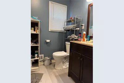 2183 W 106th Street, Loveland, OH 44102 - Photo 29