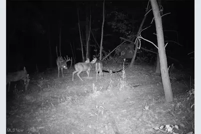 Edendale Road, Portsmouth, OH 45662 - Photo 15