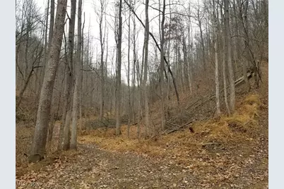 Edendale Road, Portsmouth, OH 45662 - Photo 35