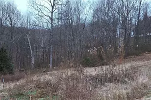 168 Kinderhook Ridge Rd, Newport, OH 45768 - Photo 23