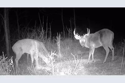 State Route 377, Malta, OH 43758 - Photo 5