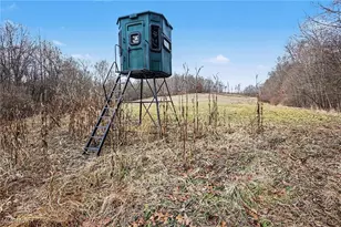 Cr 402, Warsaw, OH 43844 - Photo 1