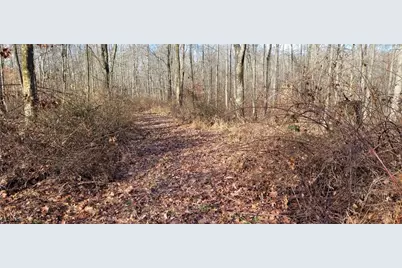 Township Rd 399, Coshocton, OH 43812 - Photo 39