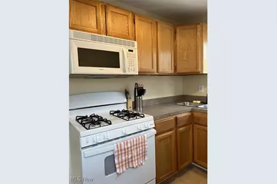 5263 Log Cabin Drive, Geneva, OH 44041 - Photo 19