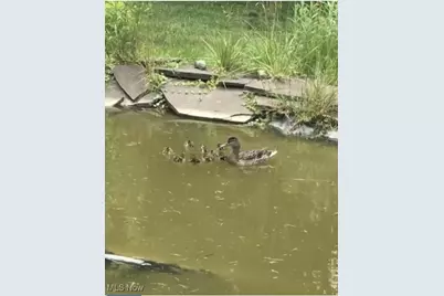 210 Highland Drive, Medina, OH 44256 - Photo 9