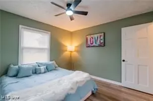 2441 Malden Rd, Loveland, OH 44121 - Photo 25