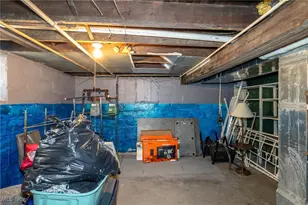 13509 Svec Ave, Loveland, OH 44120 - Photo 17