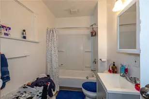 13509 Svec Ave, Loveland, OH 44120 - Photo 49