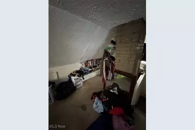 13322 Eaglesmere Avenue, Loveland, OH 44110 - Photo 17