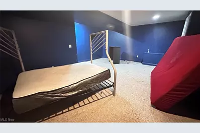 10704 Amor Avenue, Loveland, OH 44108 - Photo 9