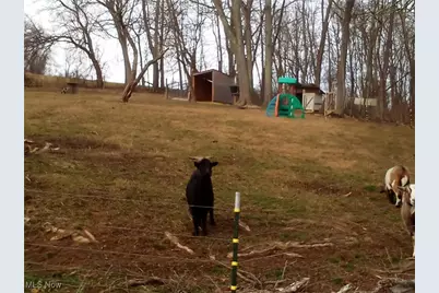 77900 Slater Road, Cadiz, OH 43907 - Photo 5