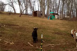 77900 Slater Rd, Cadiz, OH 43907 - Photo 5