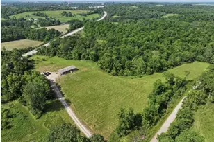 83478 Monzula Rd, Cadiz, OH 43907 - Photo 3