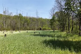 35620 Egypt North Rd, Barnesville, OH 43713 - Photo 11