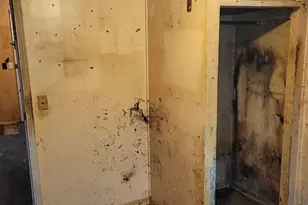 5820 Ash St, Chippewa Lake, OH 44215 - Photo 13