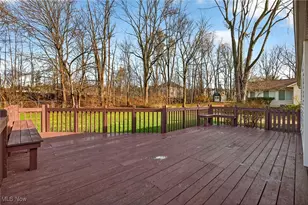 437 Janes Ln, Macedonia, OH 44056 - Photo 45