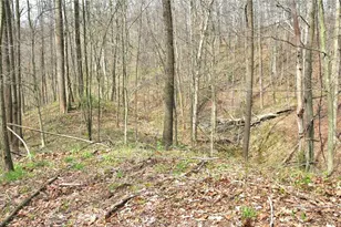 2641 Morganstern Ln, Beverly, OH 45715 - Photo 47