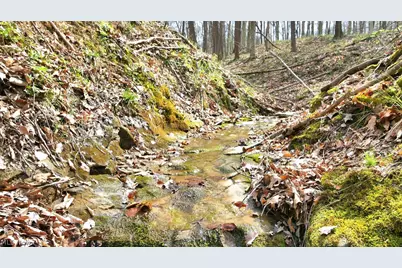 2641 Morganstern Lane, Beverly, OH 45715 - Photo 41