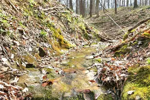 2641 Morganstern Ln, Beverly, OH 45715 - Photo 41