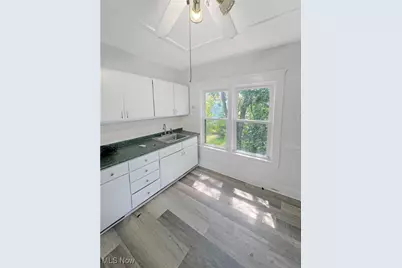 1156 Carl Avenue, Loveland, OH 44103 - Photo 41