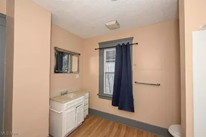 667 Elma Street, Akron, OH 44310 - Photo 43