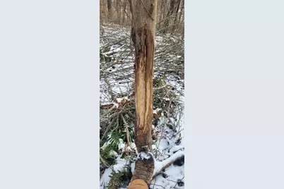 Sr 79, Warsaw, OH 43844 - Photo 43