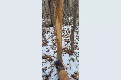 Sr 79, Warsaw, OH 43844 - Photo 49