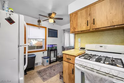 439 Larkin Avenue, Akron, OH 44305 - Photo 9